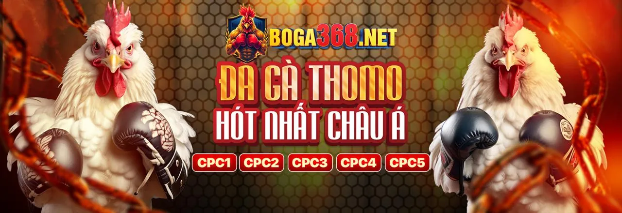 Giao diện người dùng tối ưu