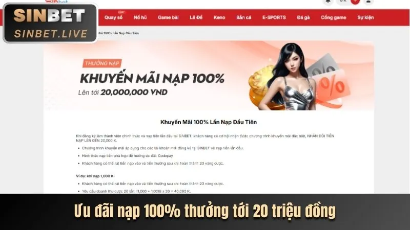 Người chơi tận hưởng lợi ích từ c54 liên kết mới
